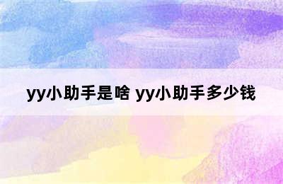 yy小助手是啥 yy小助手多少钱